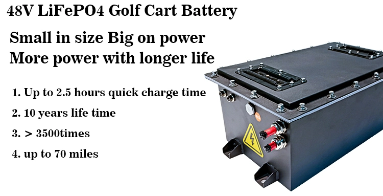 Ctsoem 48V 80ah 160ah Lithium Ion Battery voor Golfkar, Aangepaste de Machtsbatterij van LiFePO4 48V 36V